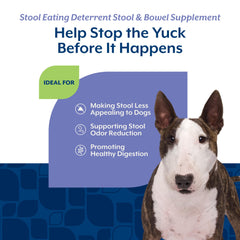 NaturVet enzymes and probiotics blend ingredients displayed for digestive support.