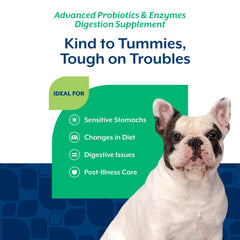 NaturVet formula blends enzymes and Bacillus subtilis for balanced digestion