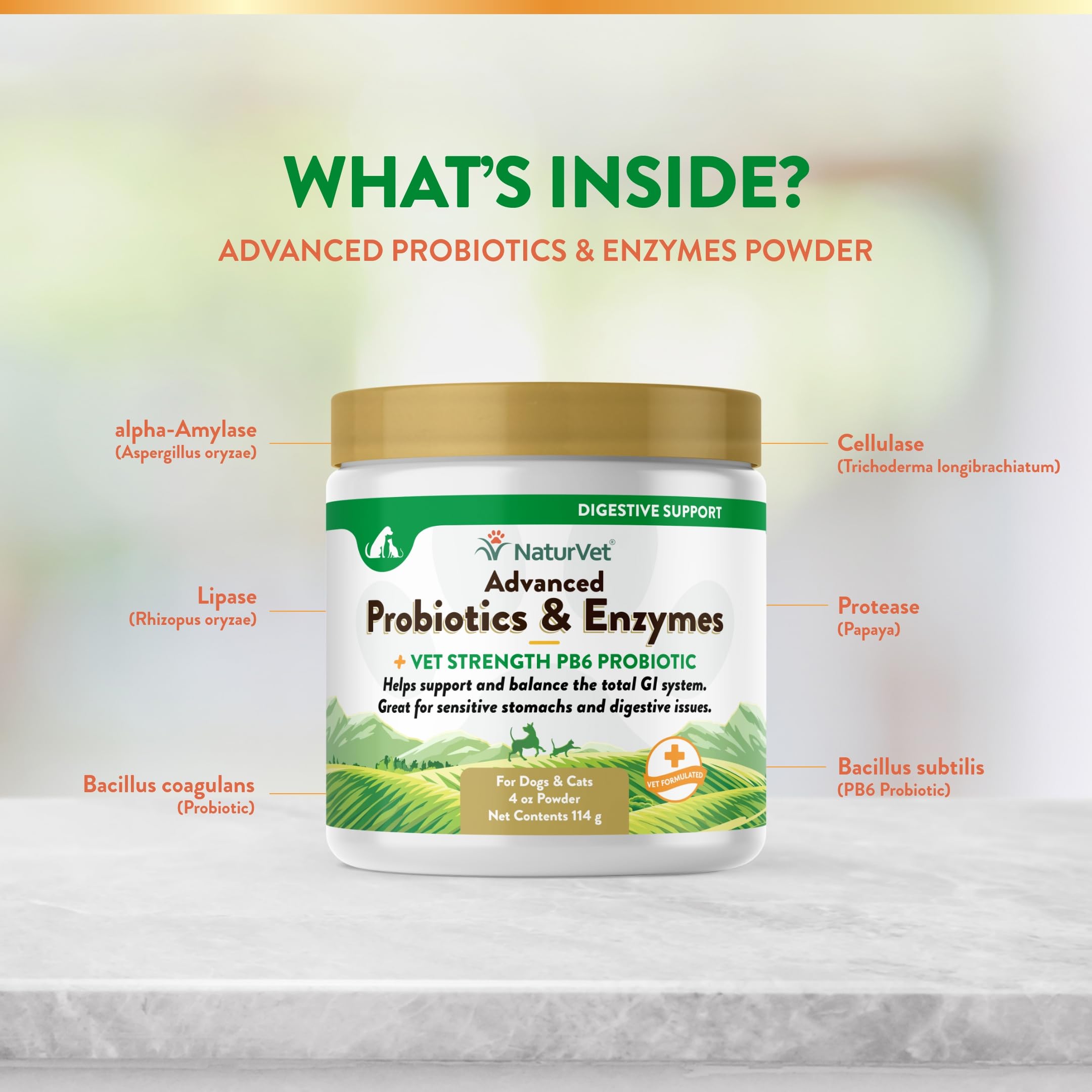 NaturVet flavored probiotic supplement emphasizes tasty palatability for pets