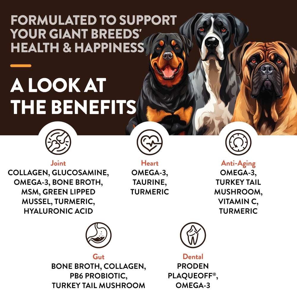 NaturVet Giant Breeds soft chews in container for digestion and coat care.