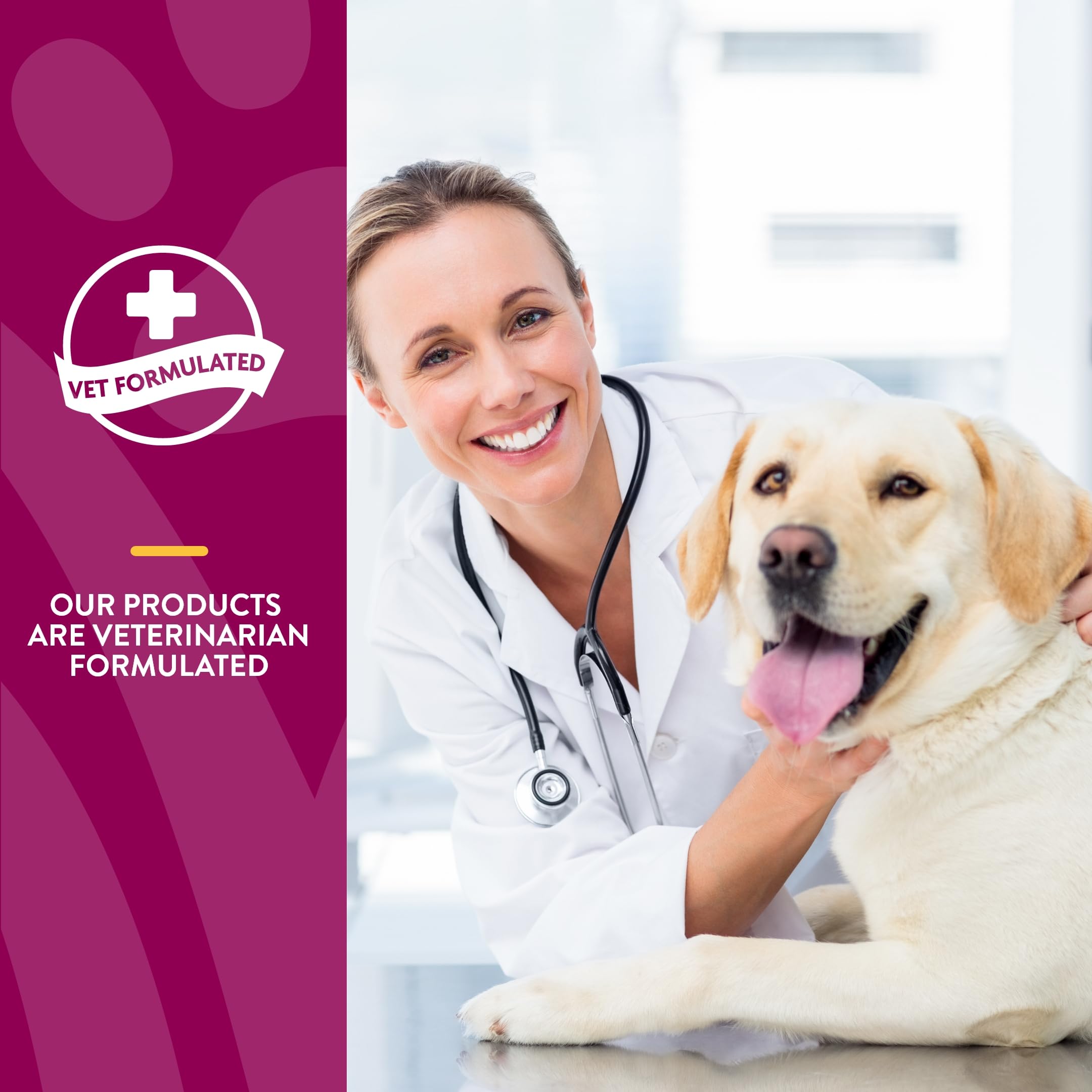 NaturVet Glucosamine DS Level 1 antioxidant blend in the container.