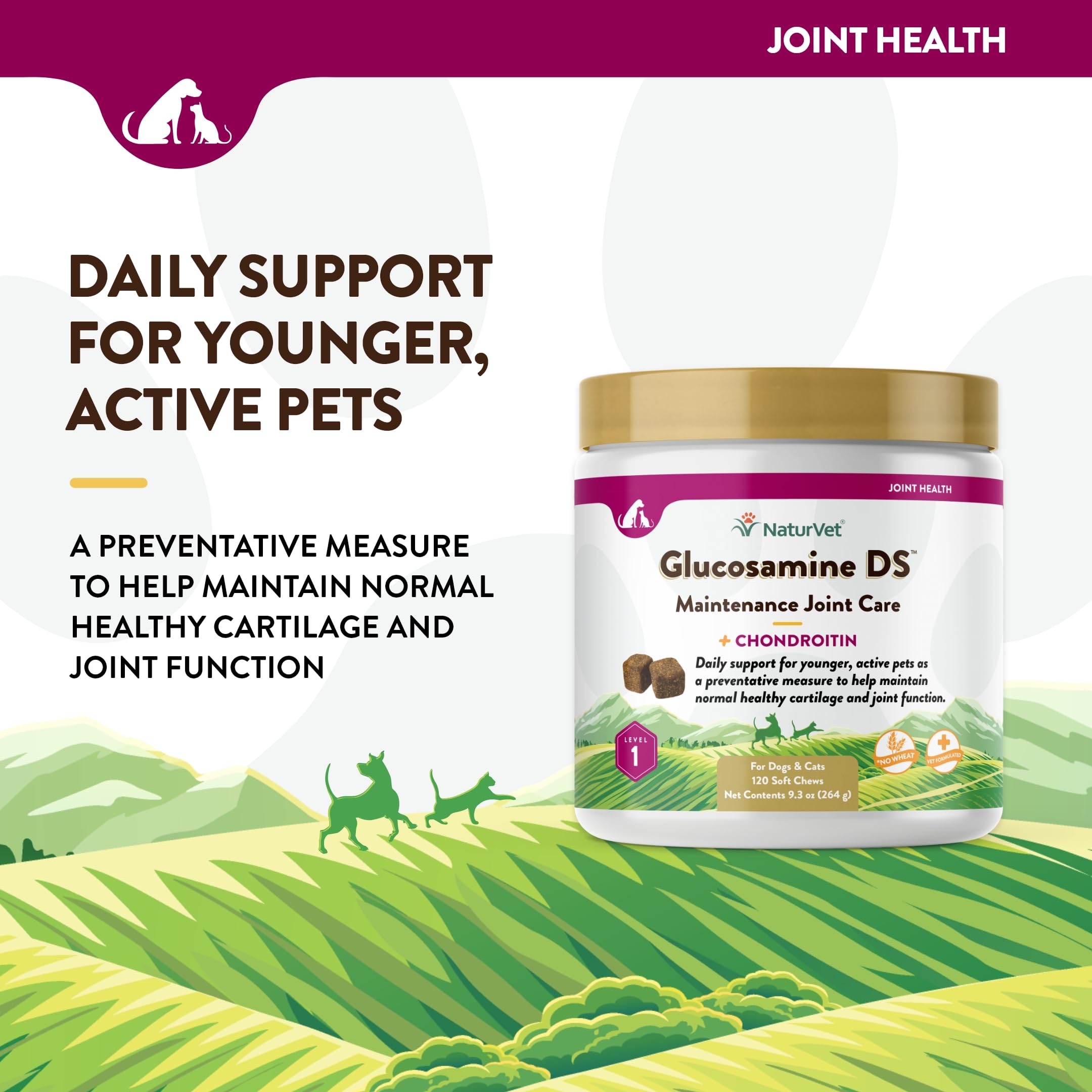 NaturVet Glucosamine DS Level 1 label emphasizes USA-made quality and antioxidant blend.