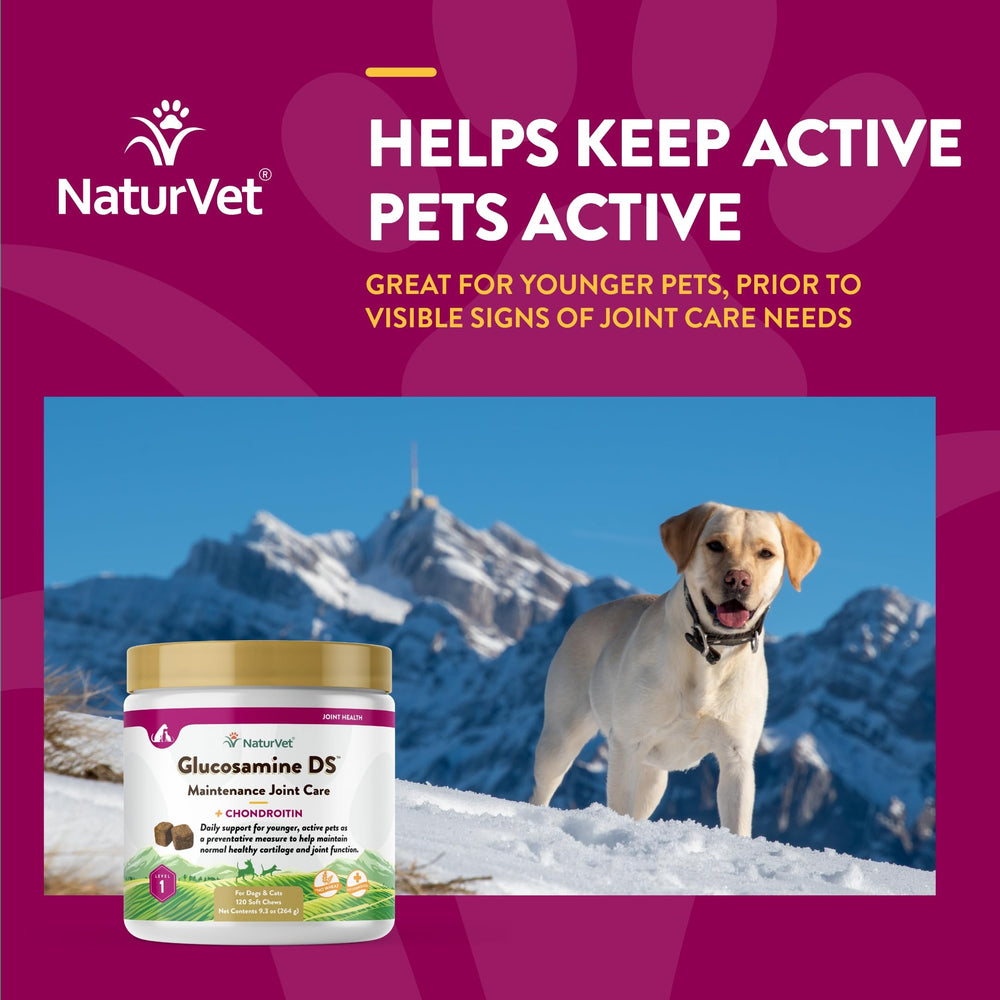 NaturVet Glucosamine DS Level 1 serving demonstrates use for dogs and cats.