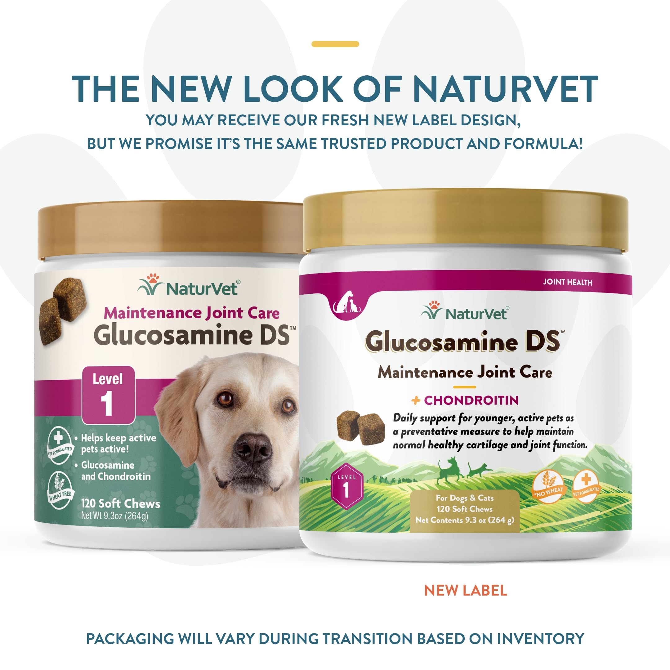 NaturVet Glucosamine DS Level 1 soft chews close-up showcasing a tasty daily option for joints.