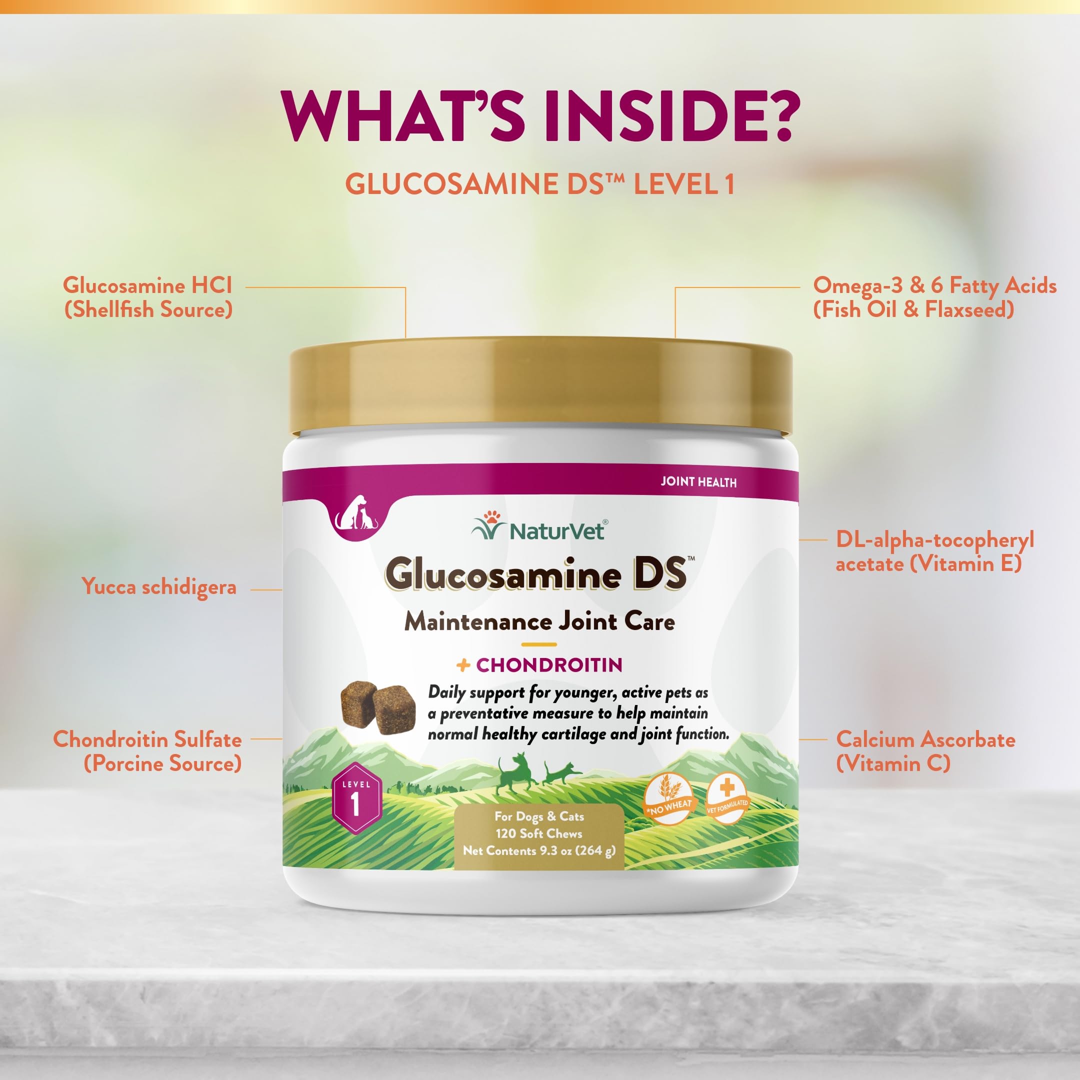 NaturVet Glucosamine DS Level 1 tube with chews in a calm kitchen.