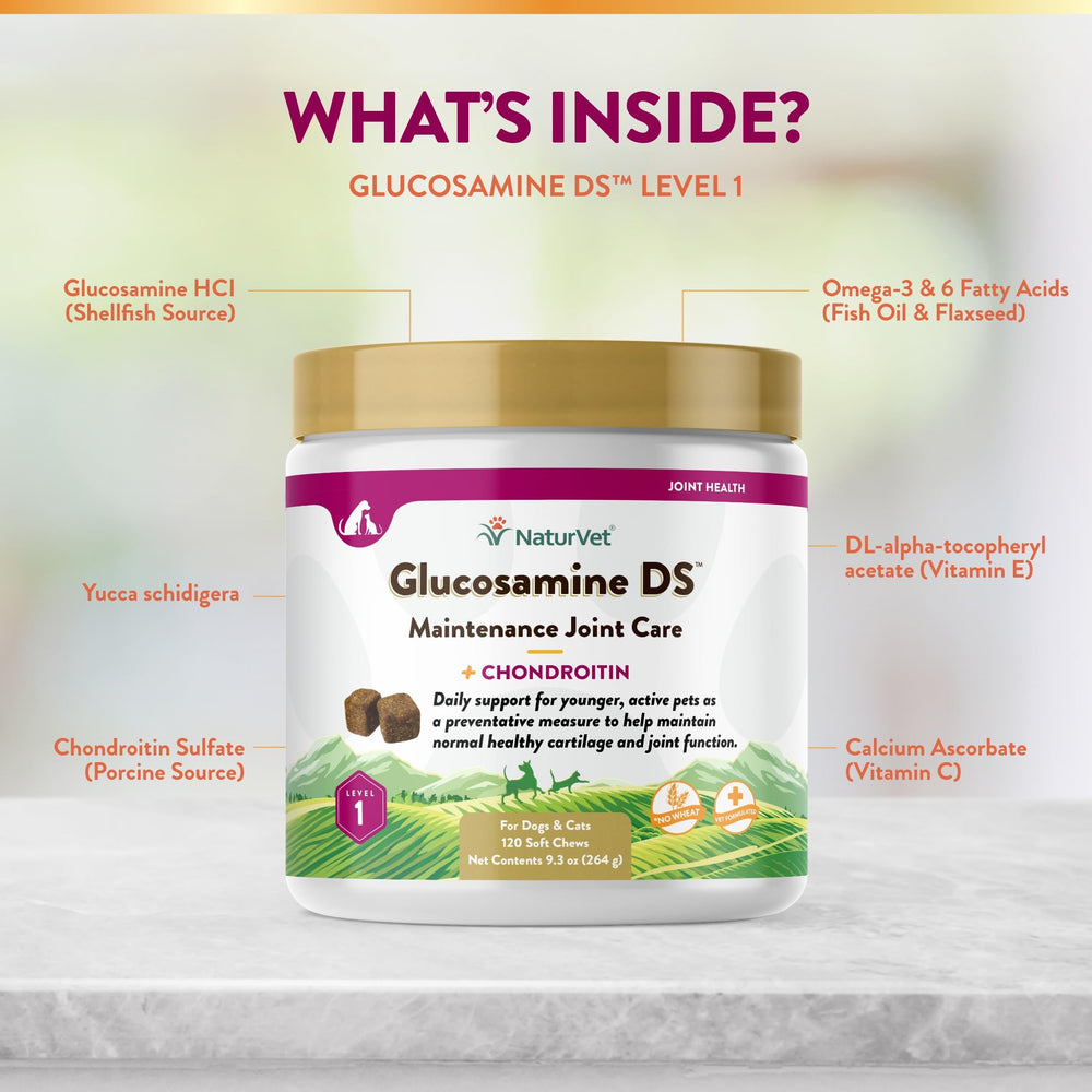 NaturVet Glucosamine DS Level 1 tube with chews in a calm kitchen.