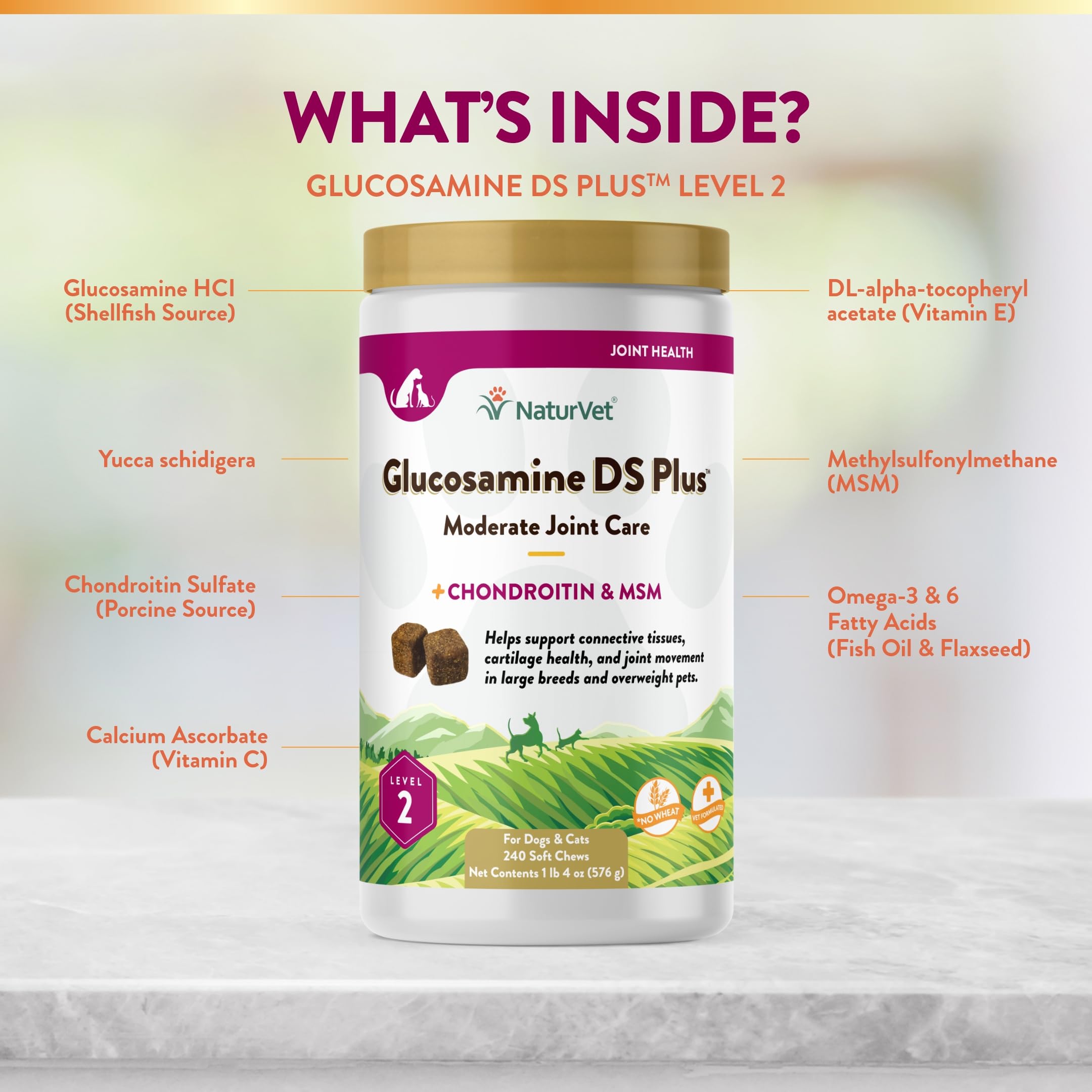 Cat near NaturVet Glucosamine DS Plus bottle; supports joint comfort