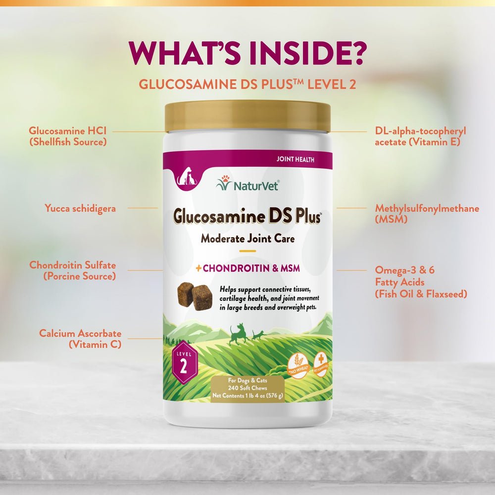 Cat near NaturVet Glucosamine DS Plus bottle; supports joint comfort