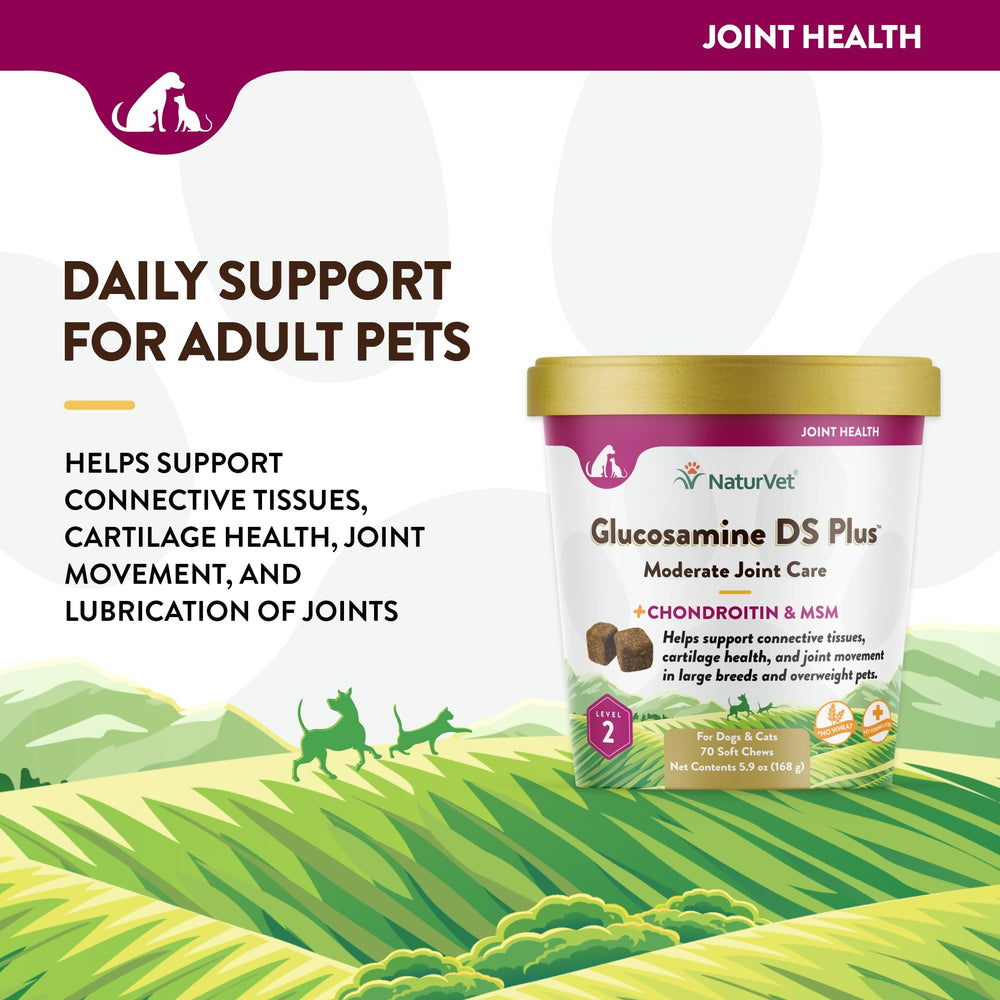 Dog and cat enjoying NaturVet chews for mobility support.