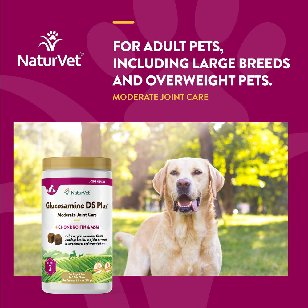 Dog receives NaturVet Glucosamine DS Plus chew during daily routine