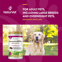 Dog receives NaturVet Glucosamine DS Plus chew during daily routine