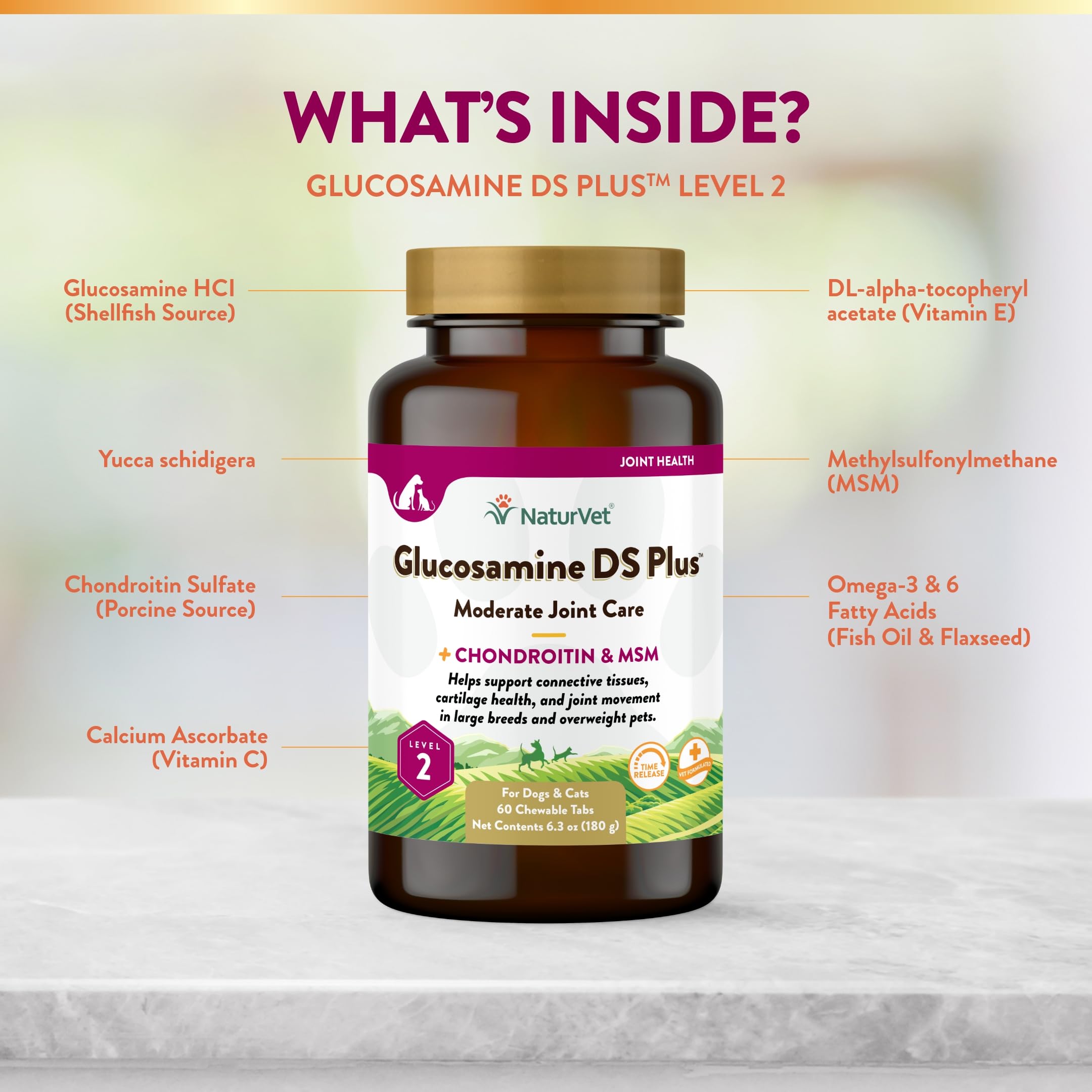 NaturVet Glucosamine DS Plus hip joint support packaging designed for pet wellness.