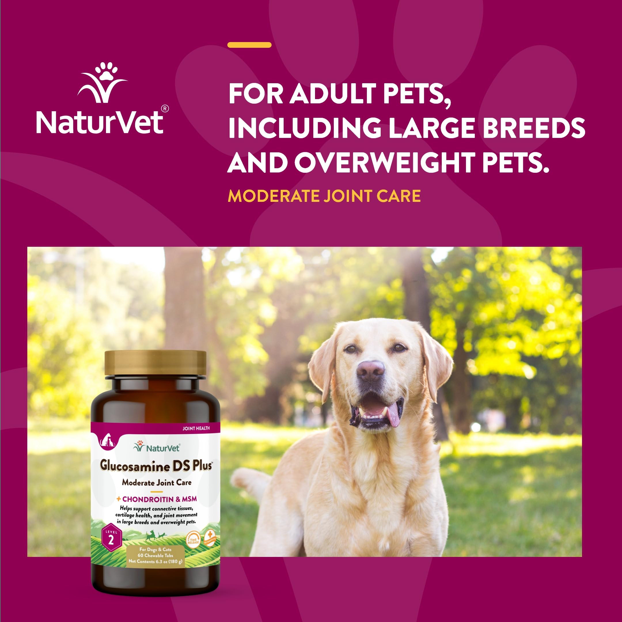 NaturVet Glucosamine DS Plus ingredients bottle shows MSM, chondroitin and antioxidants.
