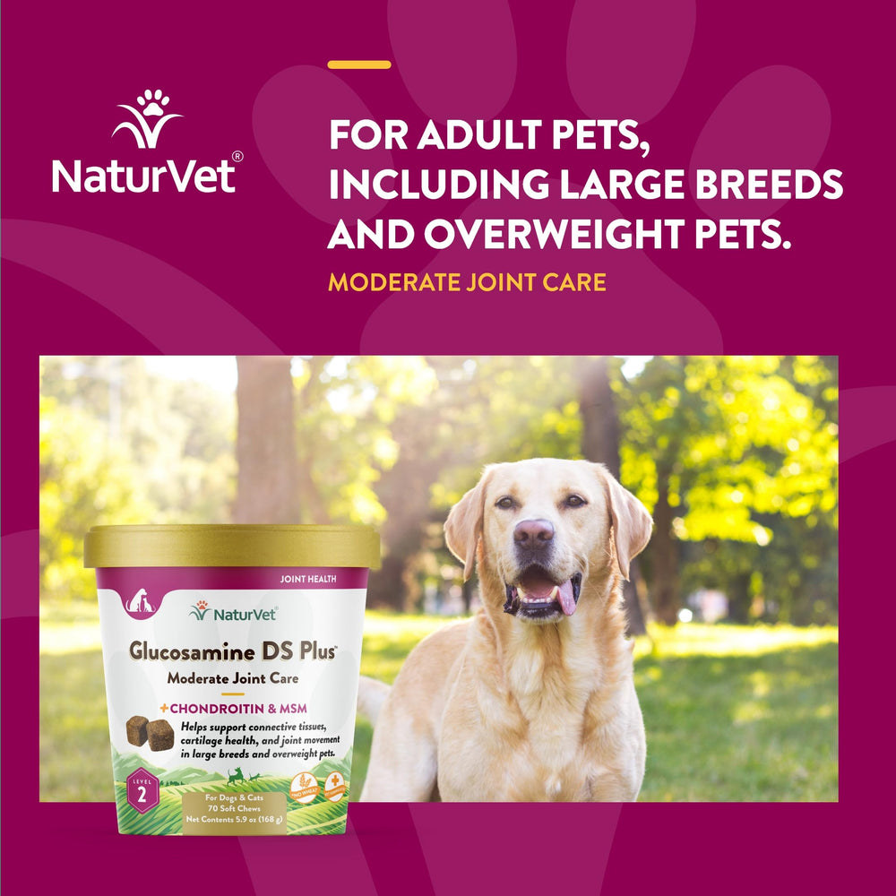 Ingredient label shows glucosamine, MSM, and chondroitin.