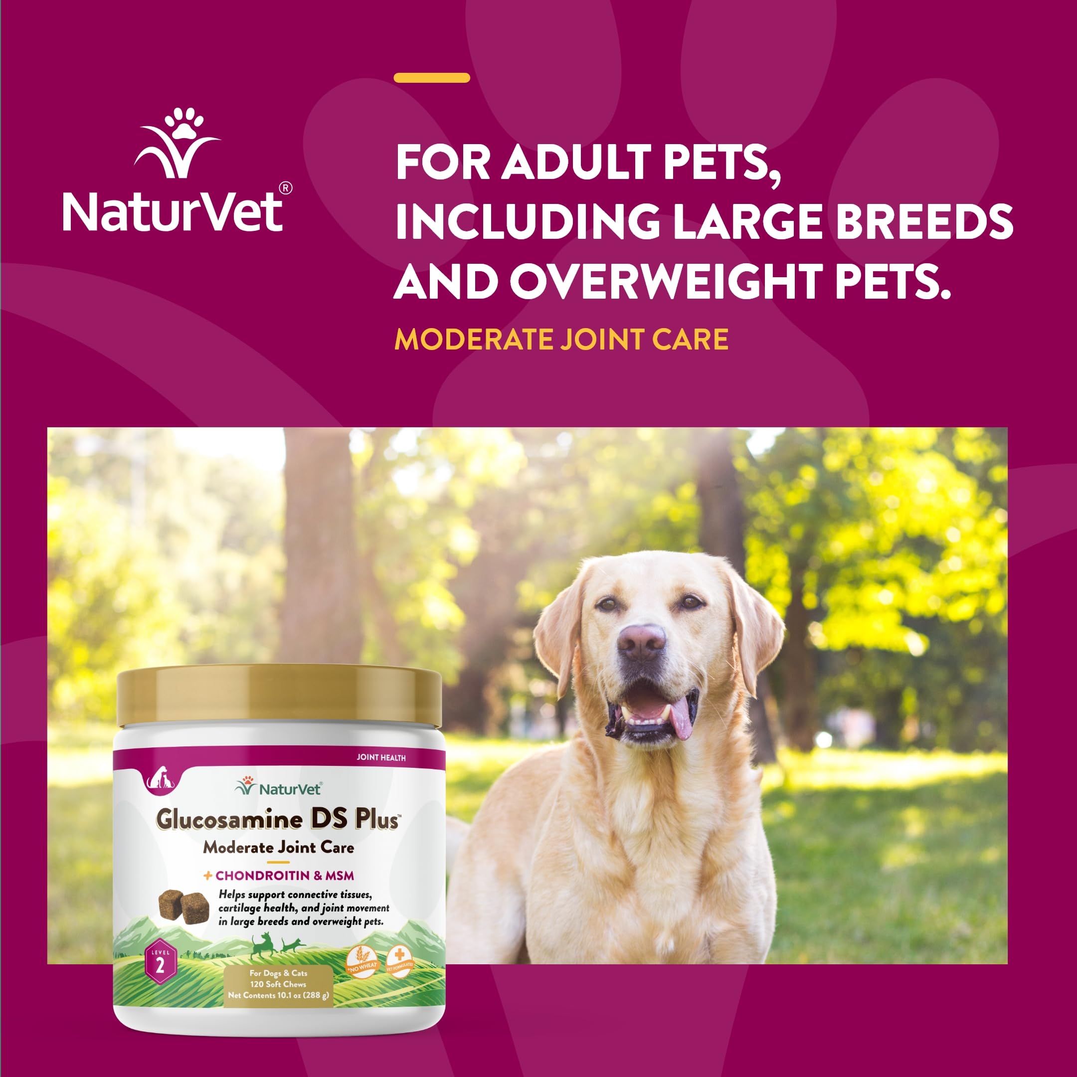 NaturVet ingredient close-up showing MSM, Chondroitin, and Glucosamine for joints.