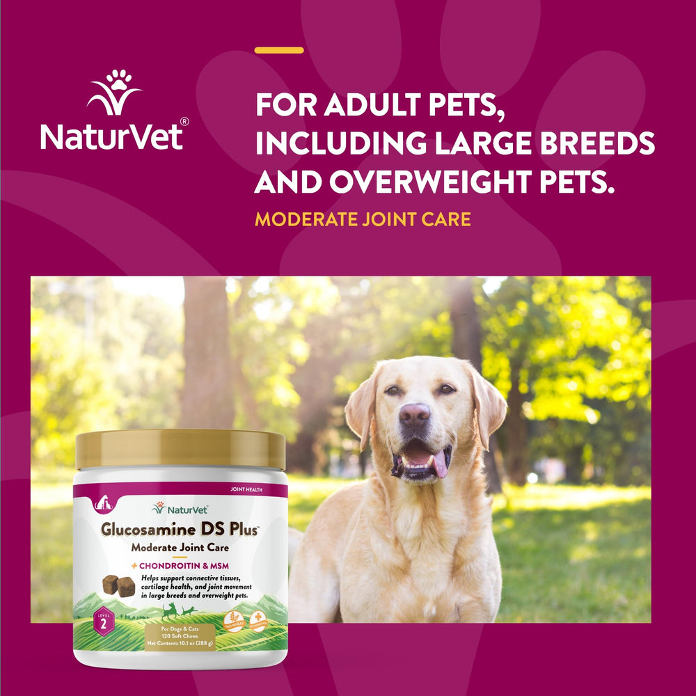 NaturVet ingredient close-up showing MSM, Chondroitin, and Glucosamine for joints.