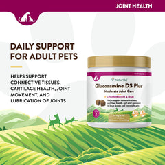 NaturVet Glucosamine DS Plus Level 2 label shows product purpose and ingredients.