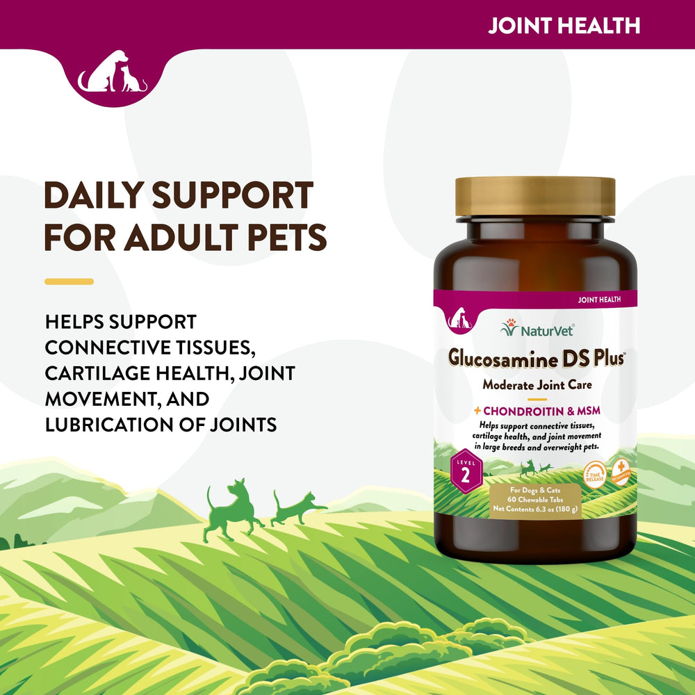NaturVet Glucosamine DS Plus time-release tablets for ongoing joint support during daily activities.
