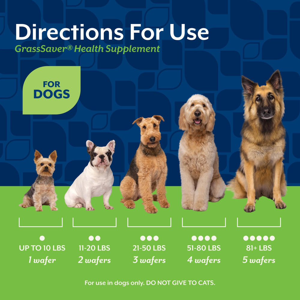 NaturVet GrassSaver Wafers lawn-spot-reduction scenario suggesting lawn improvements