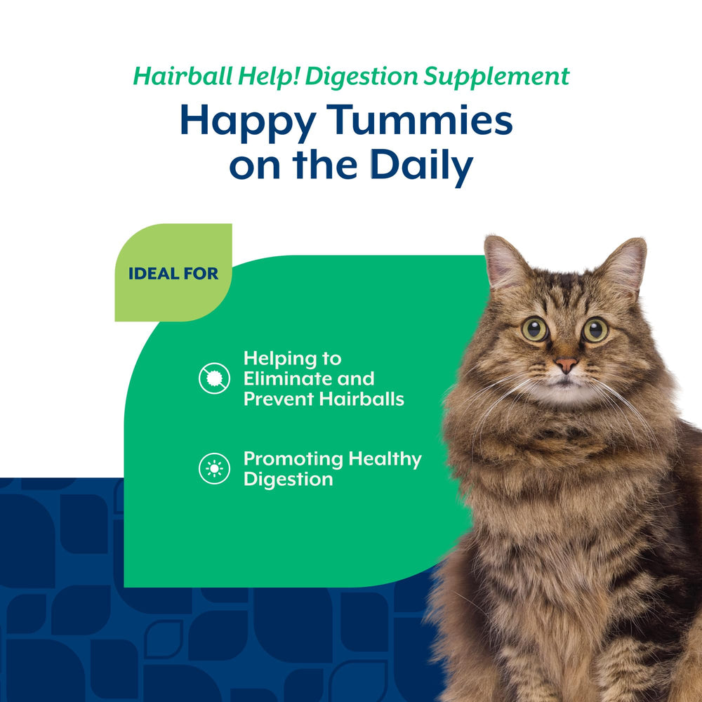 NaturVet Hairball Aid vet-formulated option for long-haired cats