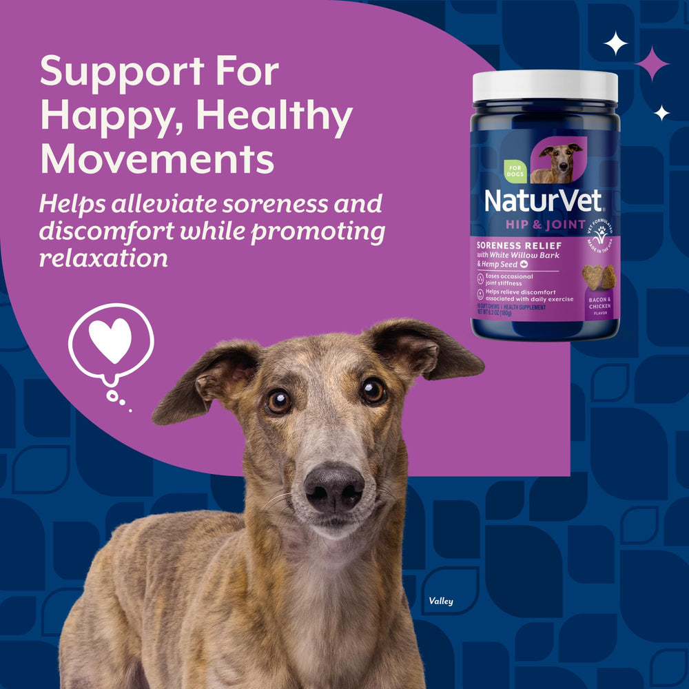 Joint health support illustration featuring glucosamine and hemp seed.