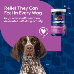MSM, collagen, and joint health chews in NaturVet formula.