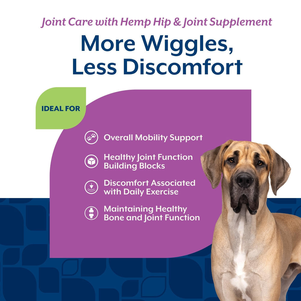 NaturVet Hemp Joint Health dog running, illustrating potential mobility support from the supplement.