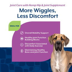 NaturVet Hemp Joint Health dog running, illustrating potential mobility support from the supplement.