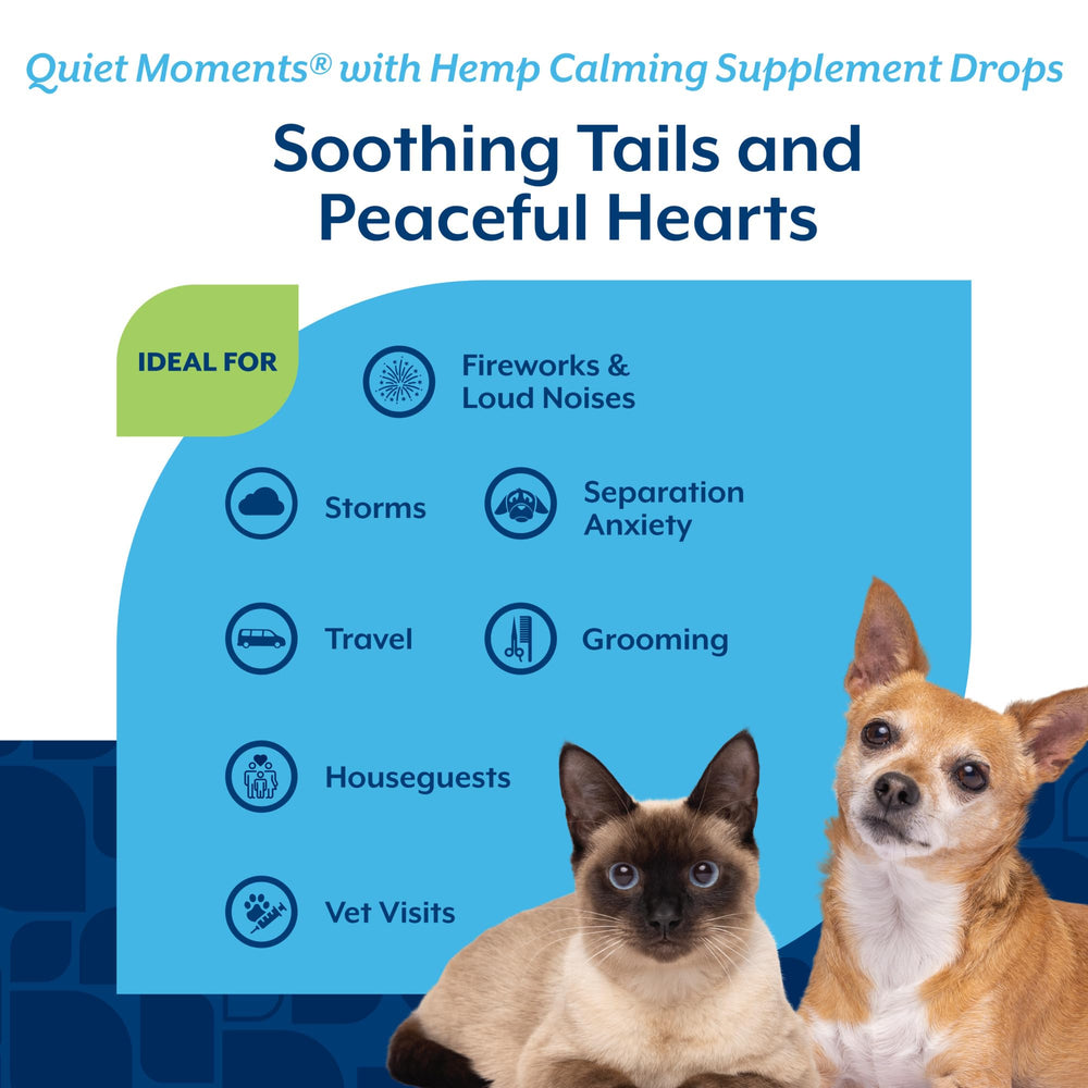 NaturVet Hemp Quiet Moments Drops dog and cat dosing for calmer moments.