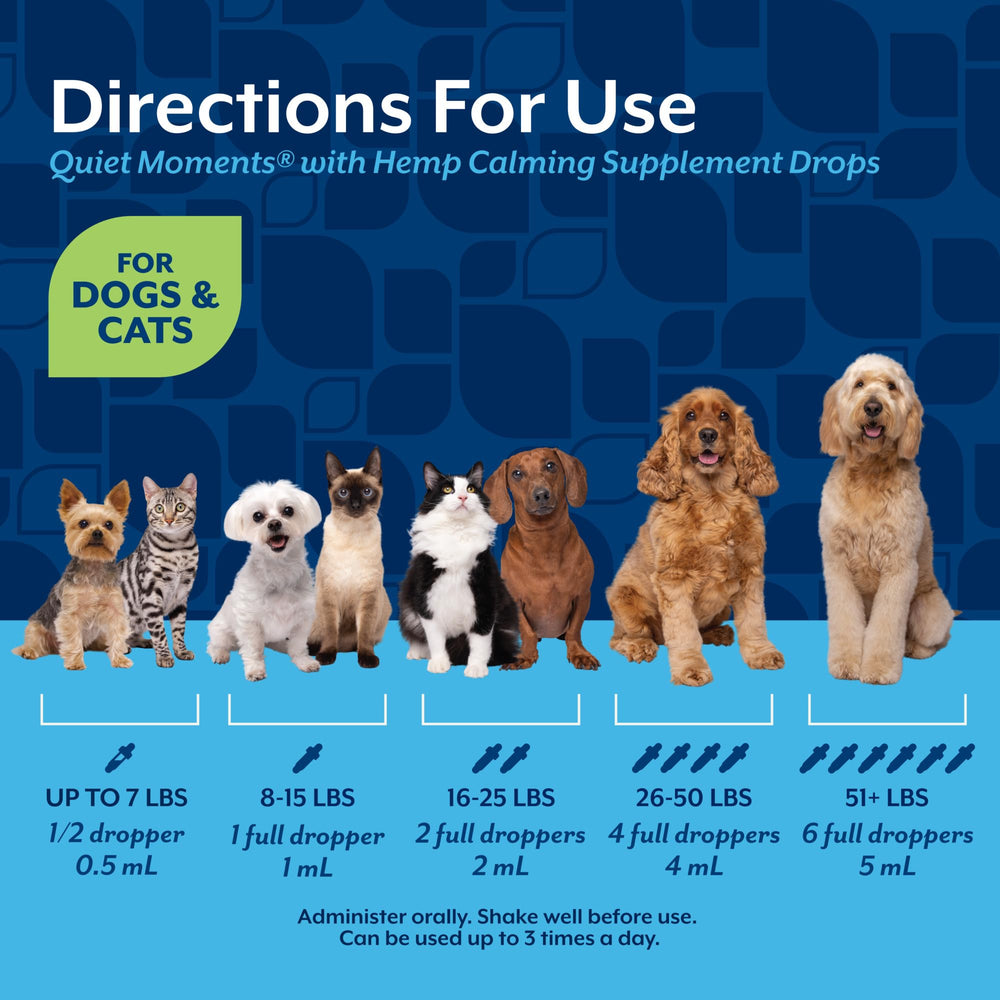 NaturVet Hemp Quiet Moments Drops during fireworks for reduced stress.