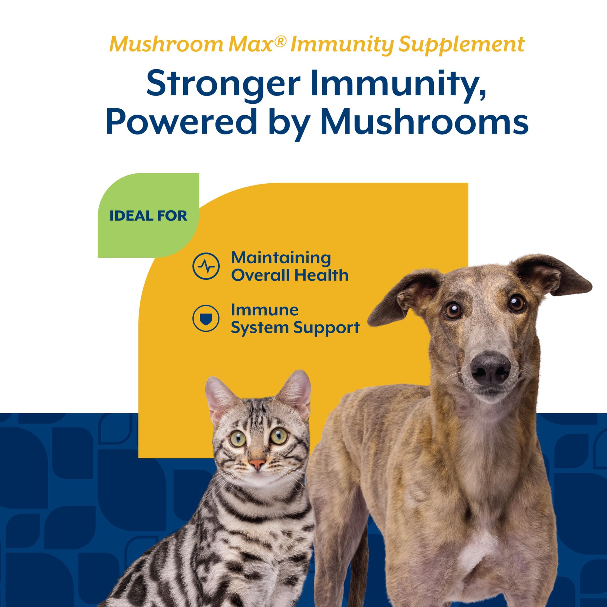 NaturVet Mushroom Max ingredients maitake close-up highlights diverse nutrients.
