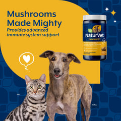 NaturVet Mushroom Max ingredients closeup shows shiitake and reishi mushrooms for dogs