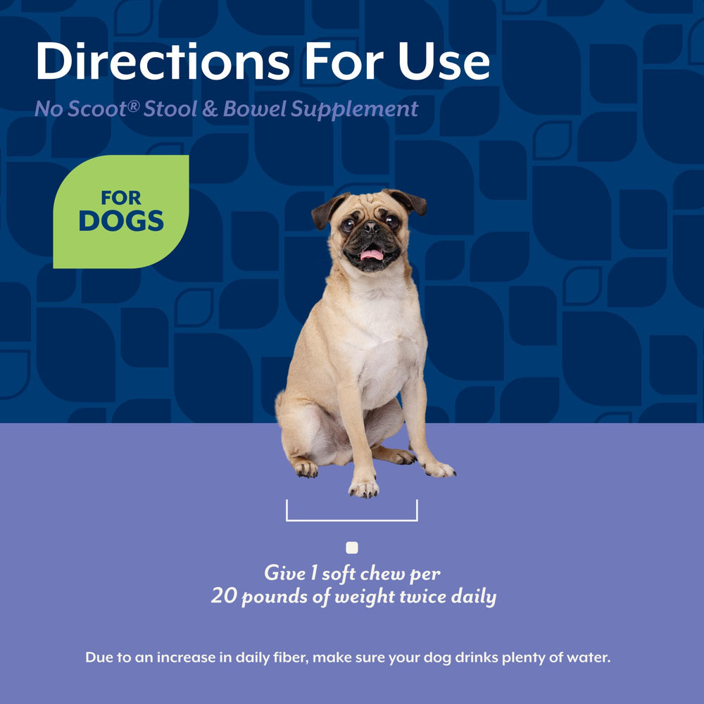 NaturVet No Scoot anal gland support graphic: promotes normal anal gland function.