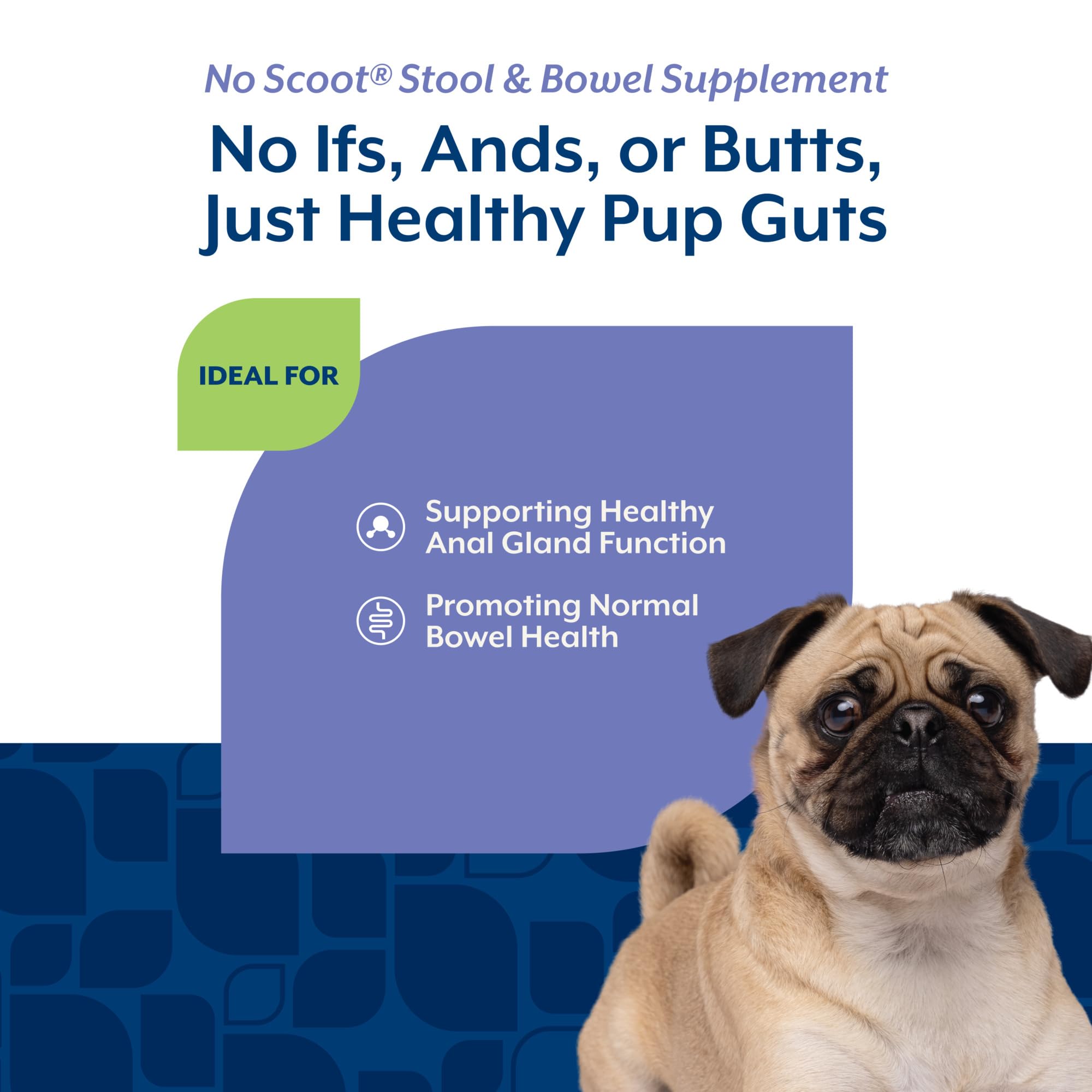 NaturVet No Scoot beet pulp psyllium: beet pulp and psyllium improve bowel regularity.