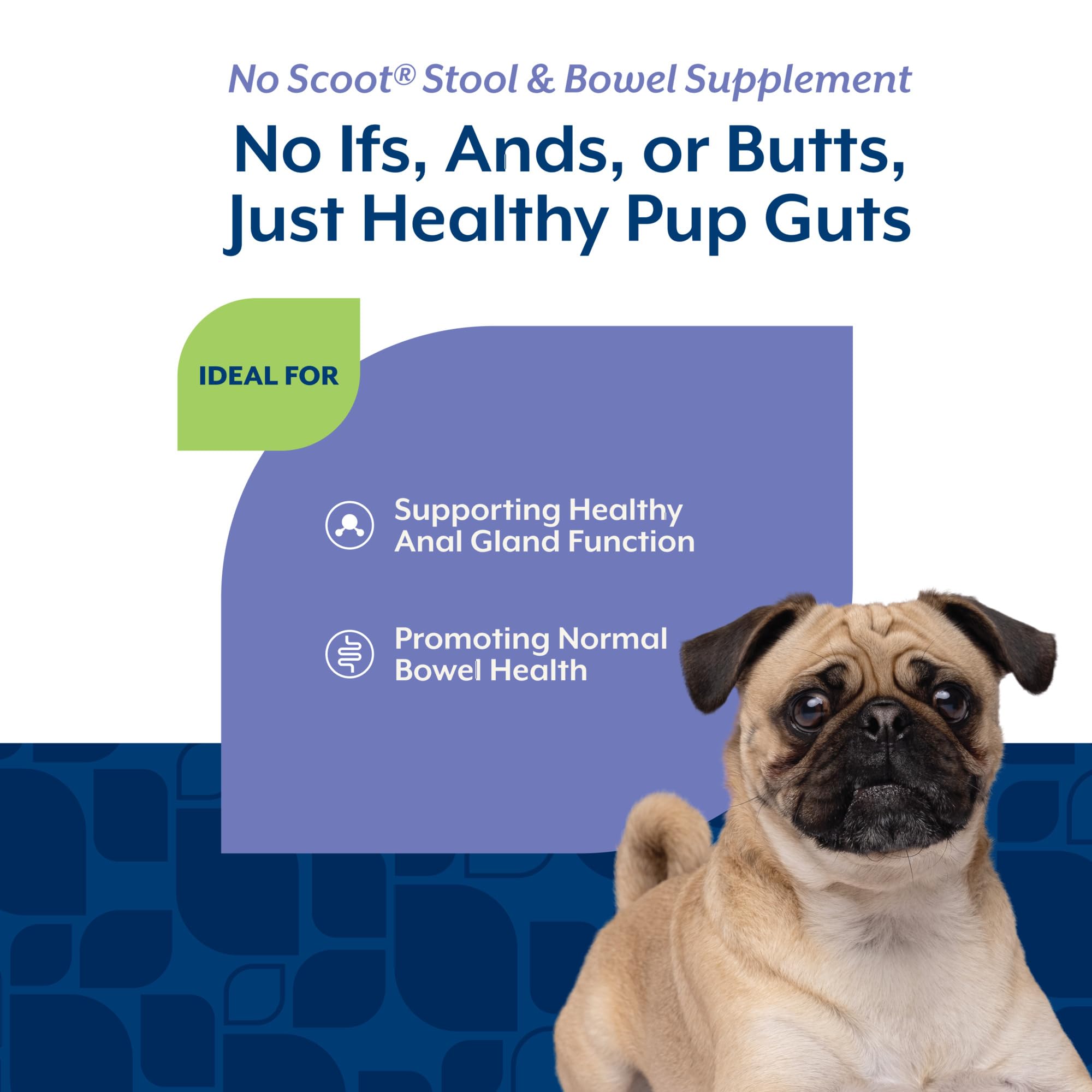 NaturVet No Scoot powder beside a measuring scoop highlighting beet pulp fiber benefits.