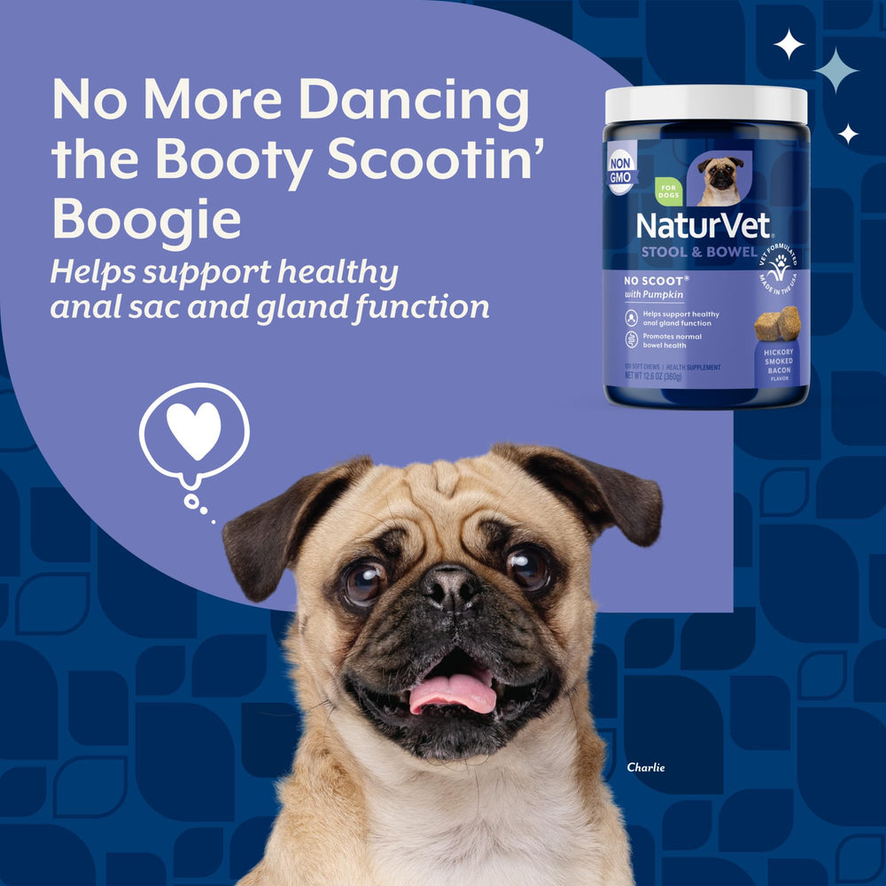 NaturVet No Scoot pumpkin-infused formula: pumpkin supports fiber-rich digestion for daily use.