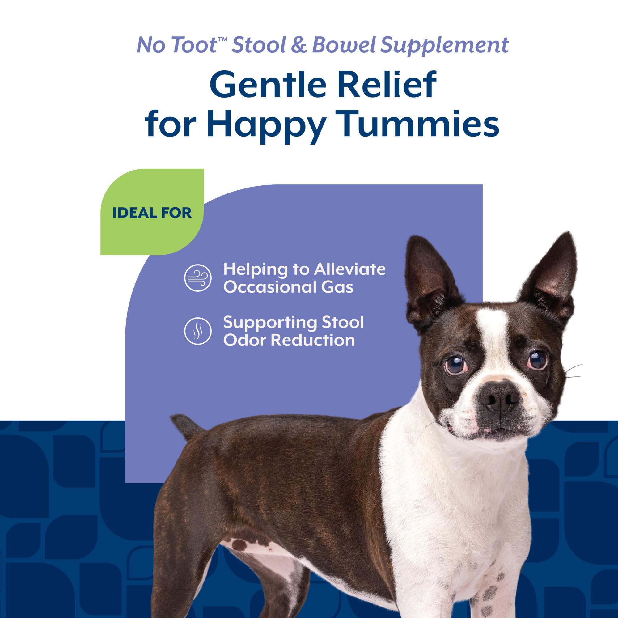 NaturVet No Toot Gas Aid Plus fennel bottle front with label visible