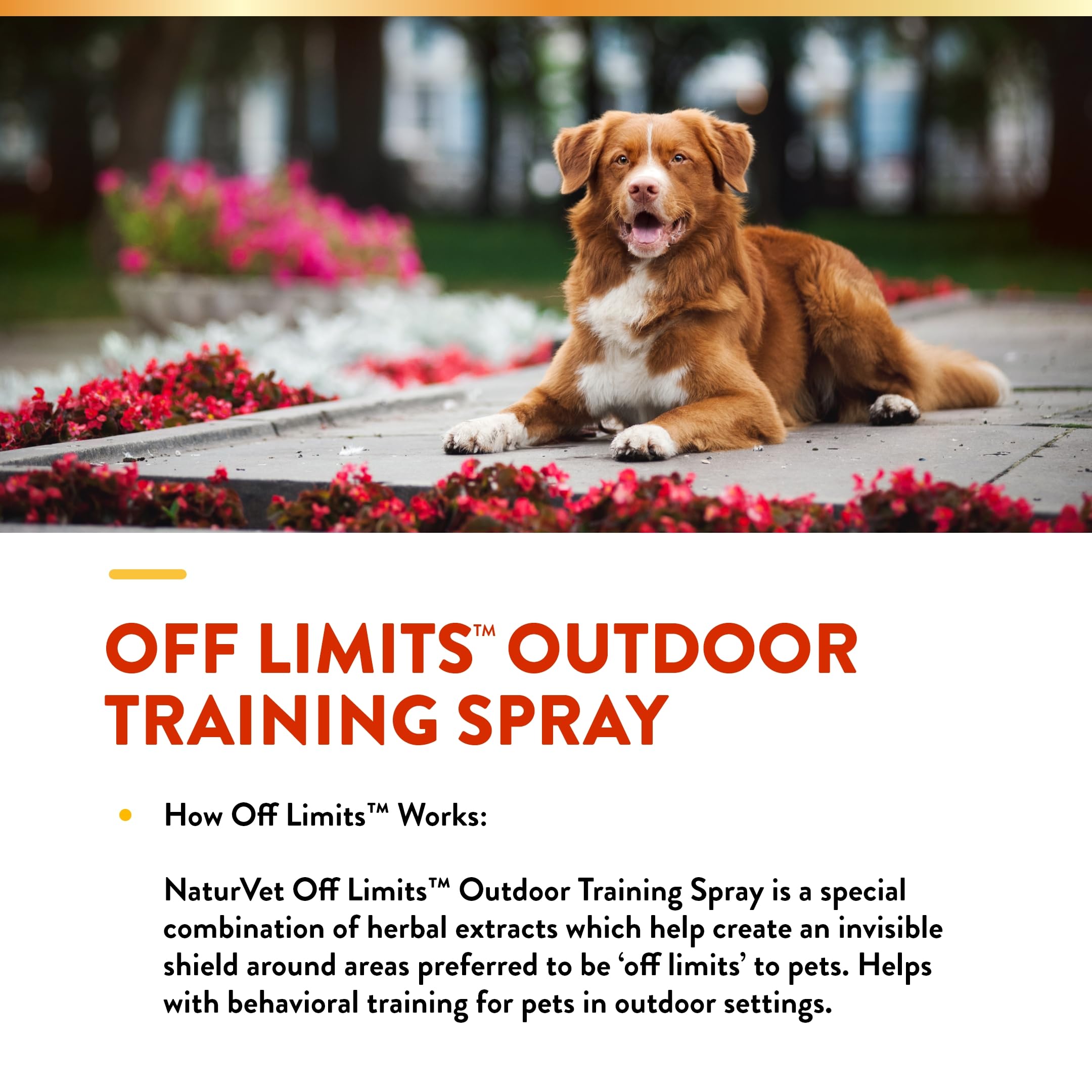 NaturVet Off Limits near cat area promotes chewing deterrence.