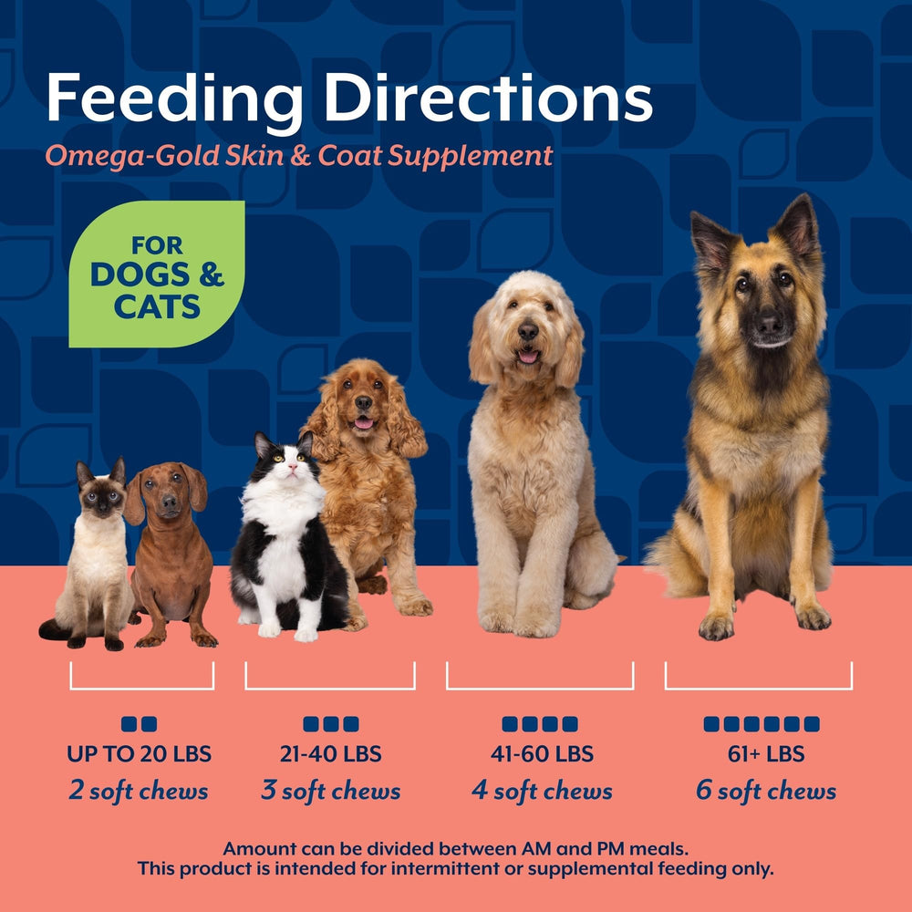 NaturVet Omega-Gold Plus chews beside a cat suggests dog and cat use.