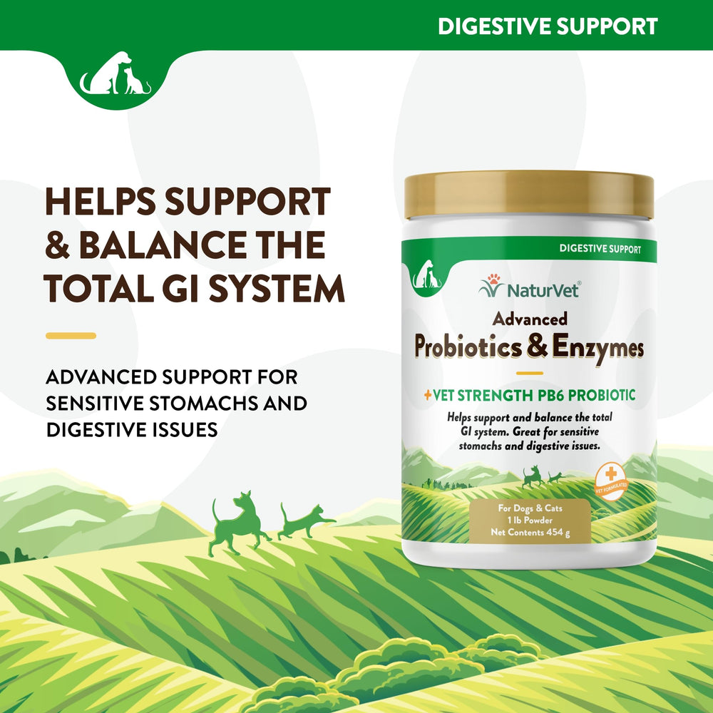NaturVet PB6 probiotic digestive support for dogs and cats powder scoop inclusion aids transition.