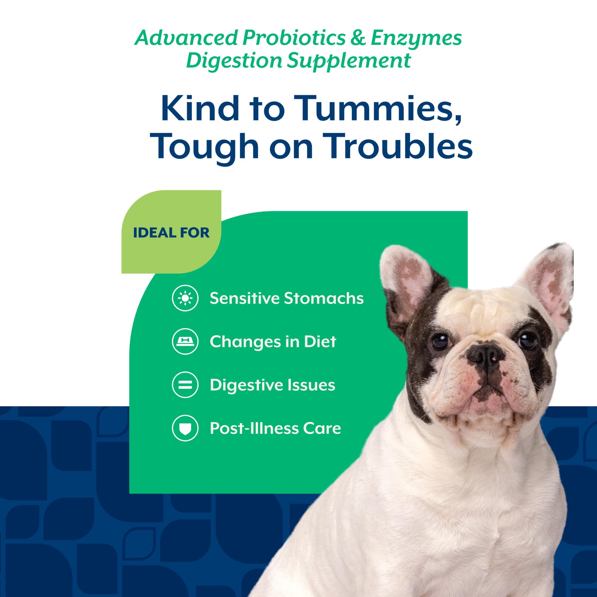 NaturVet PB6 textured soft chews close-up emphasizing chewy texture and flavor appeal.