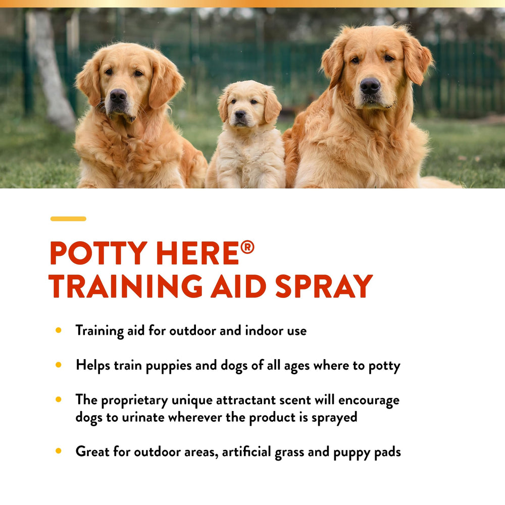 NaturVet Potty Here training with puppies speeds routine setup.