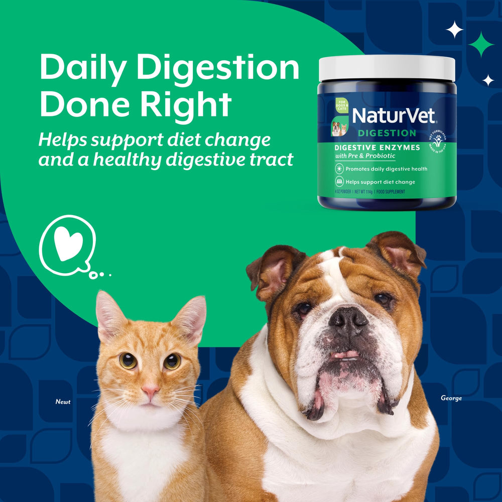 Pouring NaturVet powder into a bowl during mealtime for dogs.