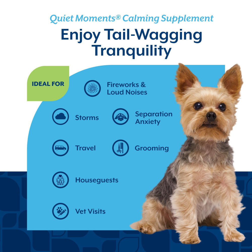 NaturVet Quiet Moments bacon-flavored chews seen as tasty, mess-free treats.