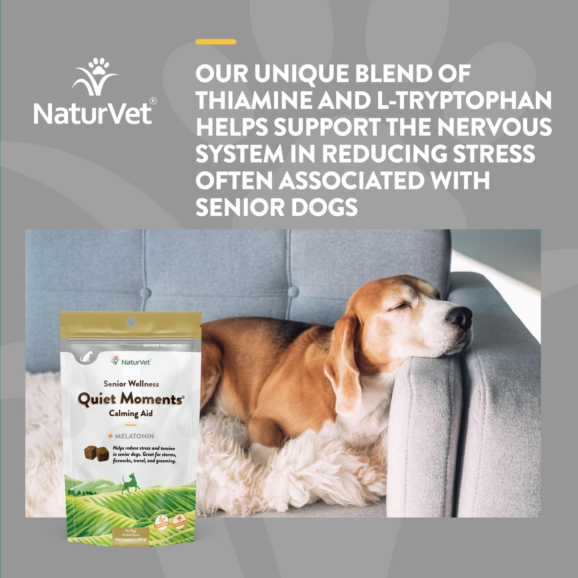 NaturVet Quiet Moments dog relaxed on couch, showcasing serenity.
