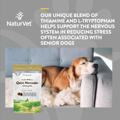 NaturVet Quiet Moments dog relaxed on couch, showcasing serenity.