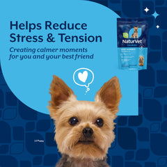NaturVet Quiet Moments dog relaxed after taking calming chews