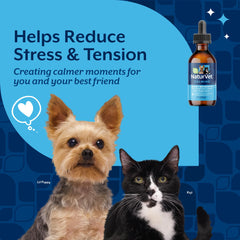 NaturVet Quiet Moments calming drops with lavender aroma support a soothing atmosphere for pets.