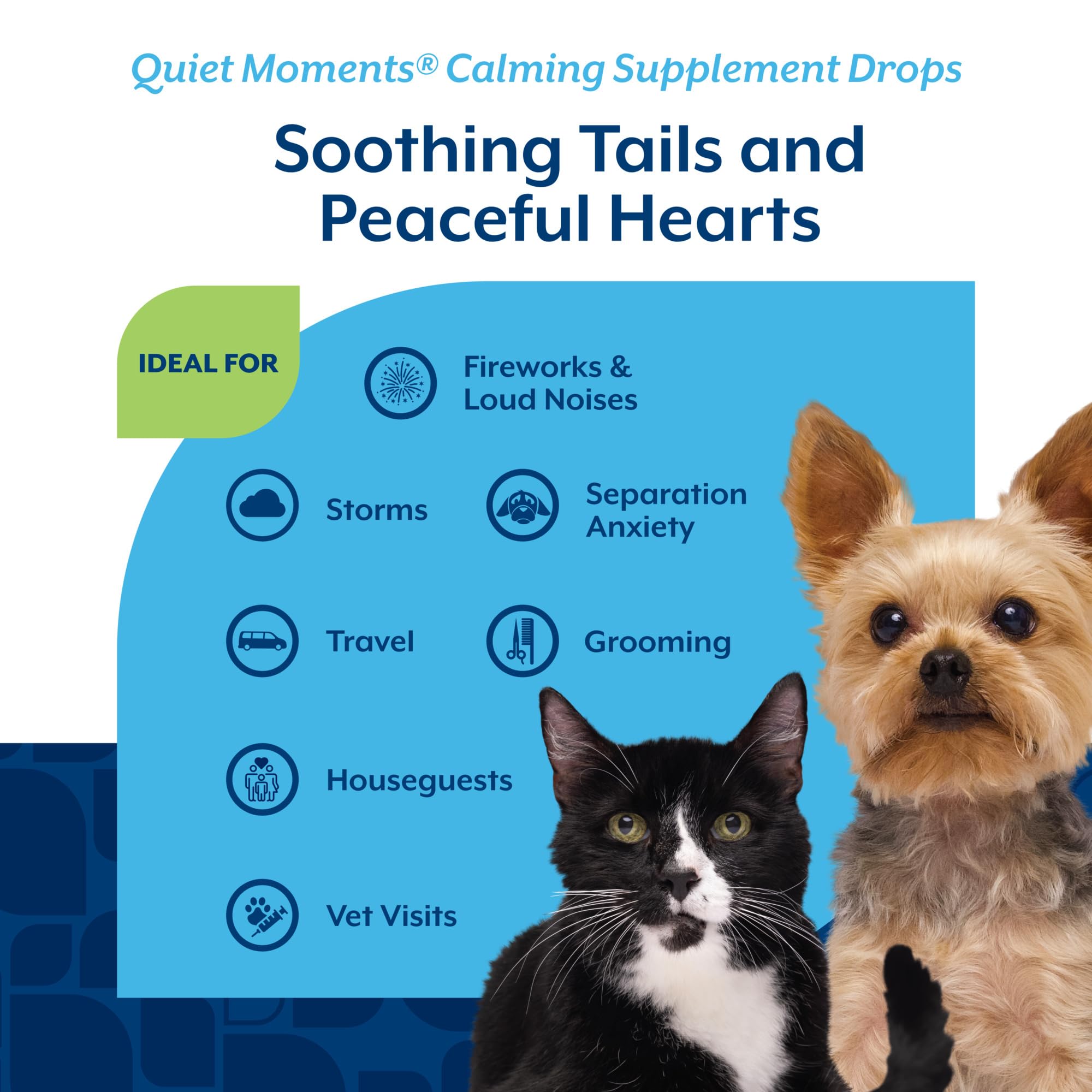 NaturVet Quiet Moments lavender aroma close-up highlights soothing botanical ingredients.