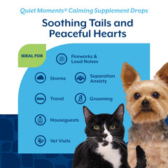 NaturVet Quiet Moments lavender aroma close-up highlights soothing botanical ingredients.